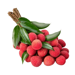 Lychee