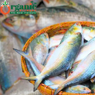 বরিশালের অরিজিনাল ইলিশ মাছ | Ilish (ইলিশ মাছ) | Organic Aliment |