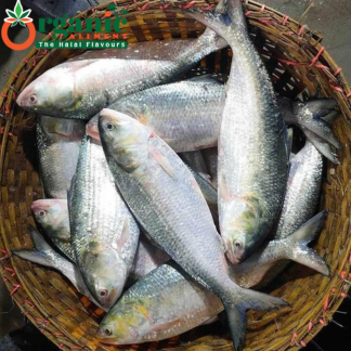 অর্গানিক দেশি ইলিশ মাছ | Ilish Fish |