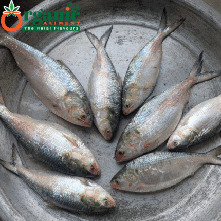 অর্গানিক দেশি ইলিশ মাছ | Ilish Fish |